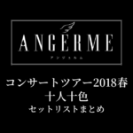 アンジュルム コンサートツアー2018春 十人十色 セットリストまとめ